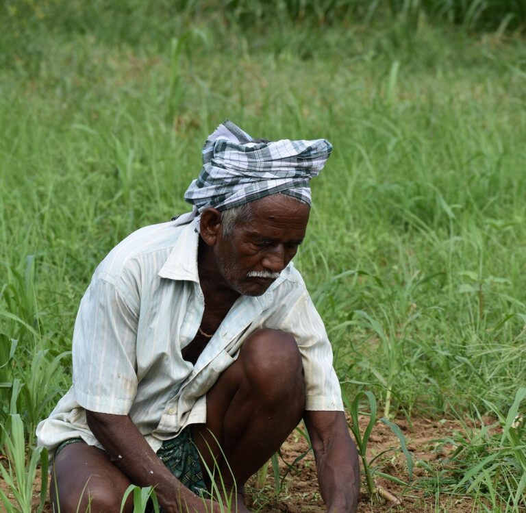 Livelihood support
